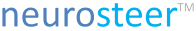 Neurosteer Logo